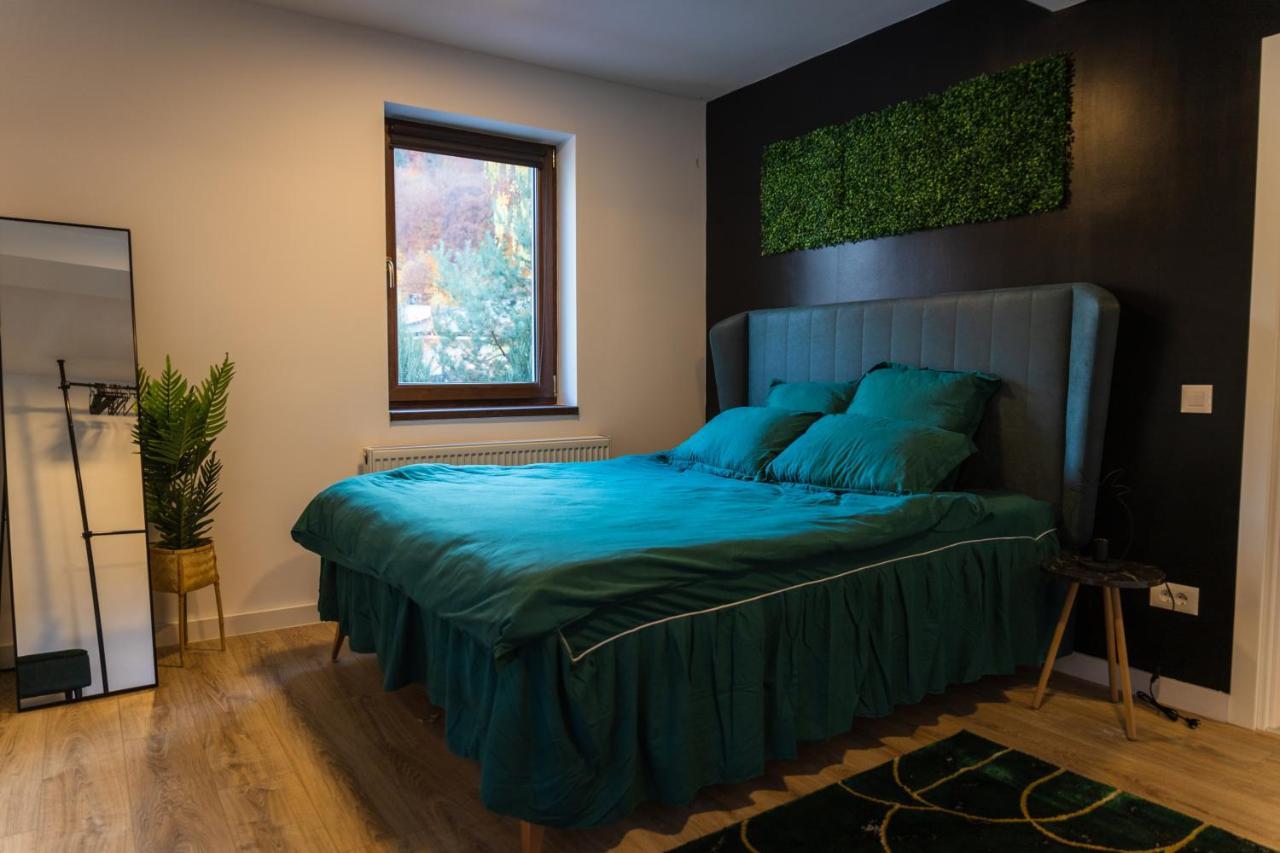 Jungle Family Villa Near Park Aventura,Lake,Zoo Braşov Extérieur photo